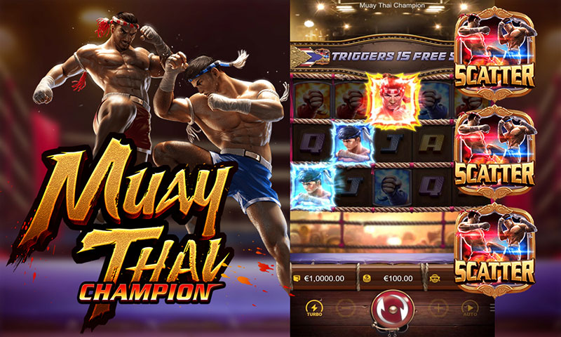 รีวิว Muay Thai Champion วิธีแทงเกมแชมป์มวยไทย SBOBET